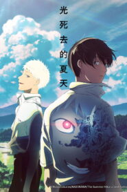光死去的夏天
