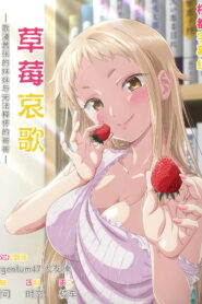 草莓哀歌