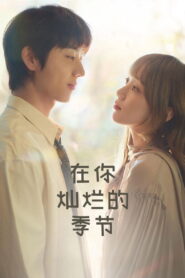 在你灿烂的季节