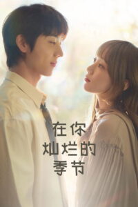 在你灿烂的季节