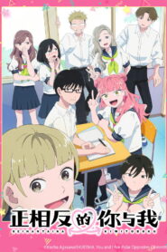 正相反的你与我